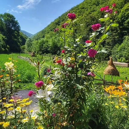 Tatil Evi Casa *